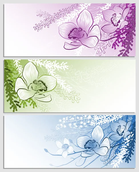 花と水平の背景のセット — ストックベクタ