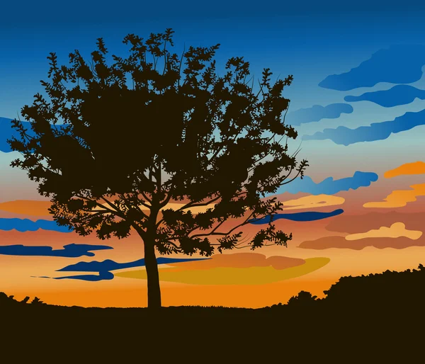 Baum gegen Sonnenuntergang — Stockvektor