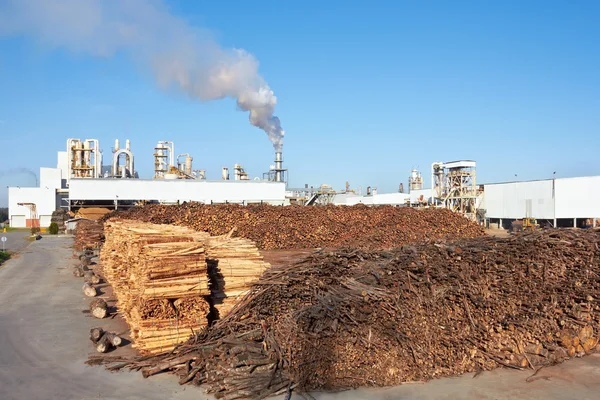 製紙工場に対する木材 — ストック写真