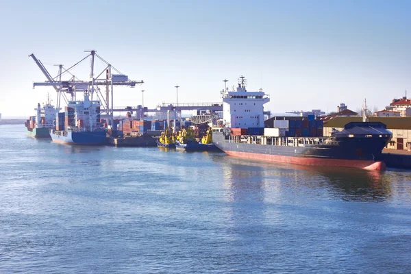 Cargo sea port — Stock Photo, Image