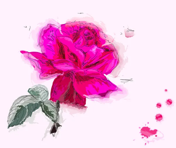 Живопись розы — стоковый вектор
