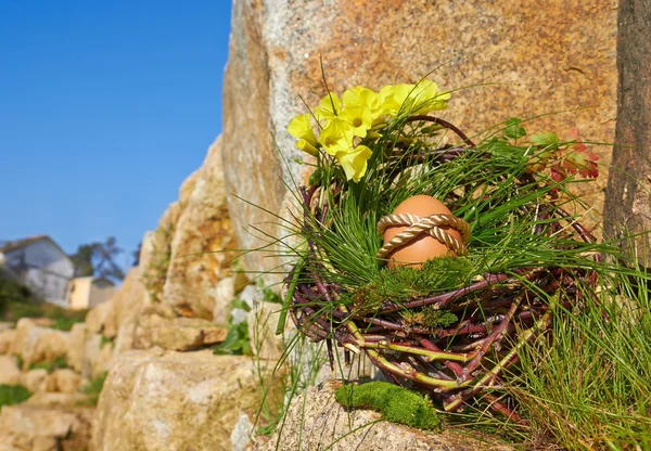 Easter Egg — Stock Photo, Image