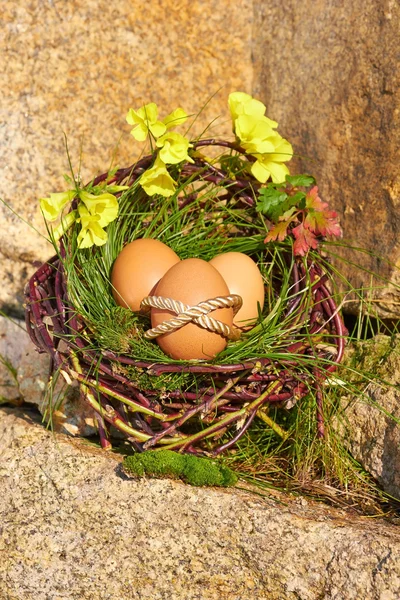 Påskeegg – stockfoto