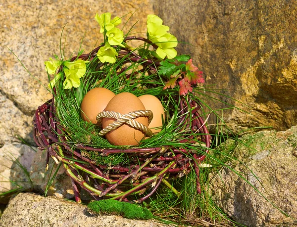 Huevos de Pascua —  Fotos de Stock