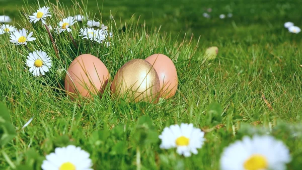 Huevos de Pascua —  Fotos de Stock