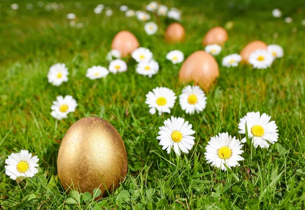 Huevo de Pascua Gald —  Fotos de Stock