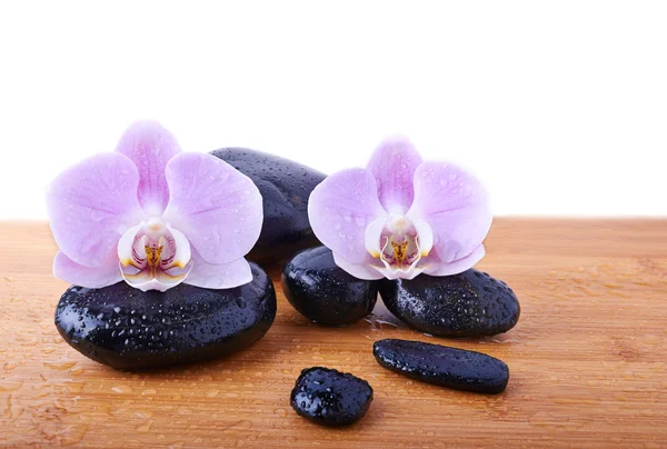 Stones and orchid — Stock Photo, Image