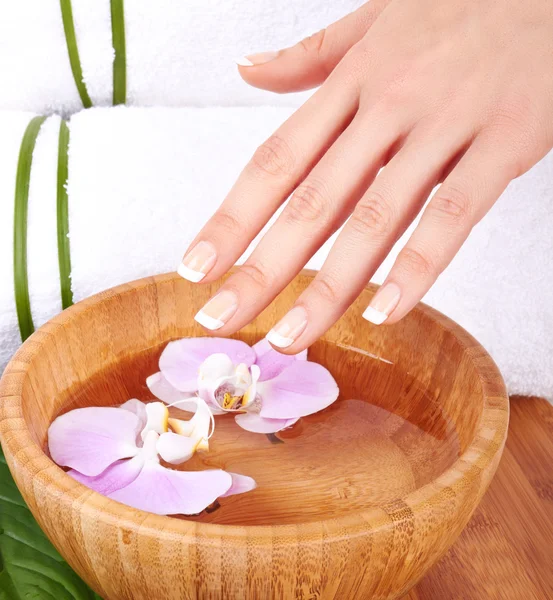 Hands Spa — Stock Photo, Image