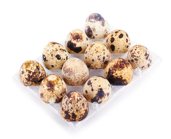 Quail eggs in a box isolated — Stock Photo, Image