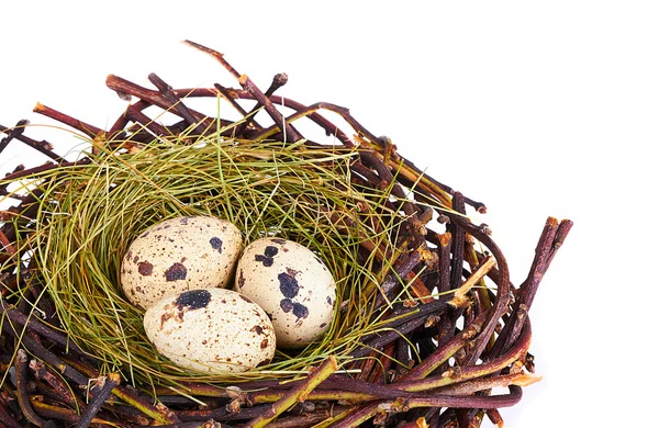 Huevos y plumas de codorniz en un nido de Pascua —  Fotos de Stock