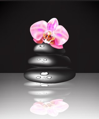 vektör spa taşlar ve orkide