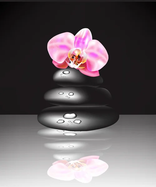Pierres vectorielles de spa et orchidée — Image vectorielle