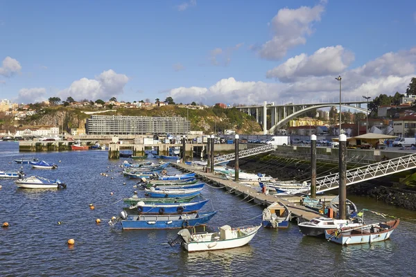 Sekelompok kapal layar di Porto, Portugal — Stok Foto