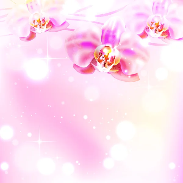 Hintergrund mit Orchidee — Stockvektor