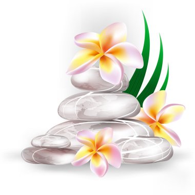 Spa Konsept zen taşlar ve frangipani çiçekler