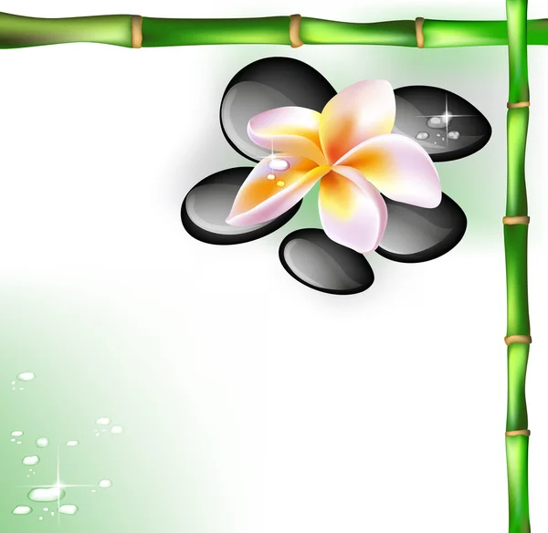 Spa concept zen stenen en frangipani bloemen — Stockvector