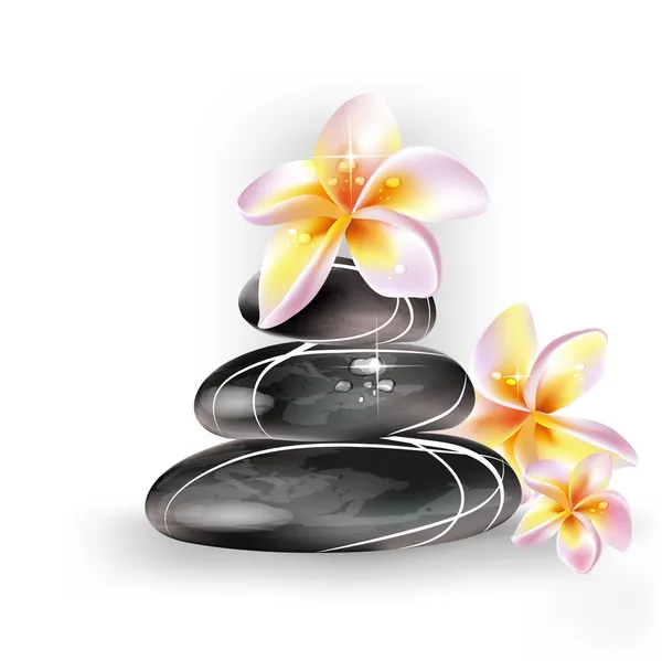 Concepto Spa zen piedras y flores frangipani — Vector de stock
