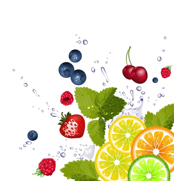フルーツと水のしぶき — ストックベクタ