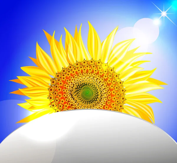 Arrière-plan avec tournesol sur ciel bleu — Image vectorielle