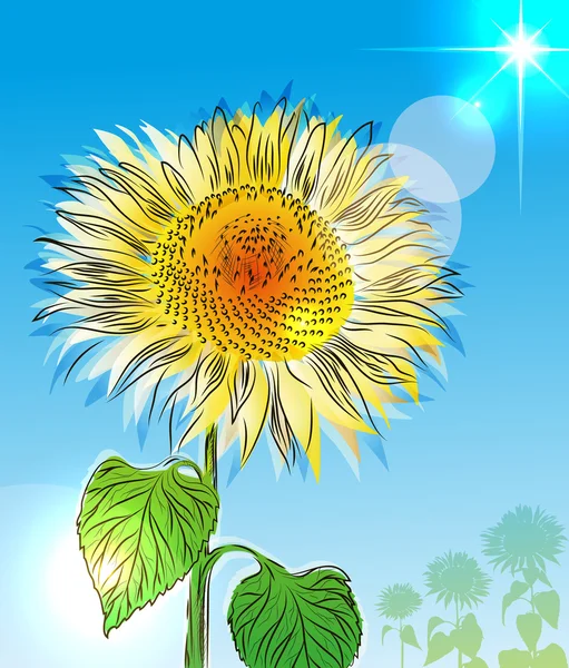 Sunflower over blue sky — Stock Vector