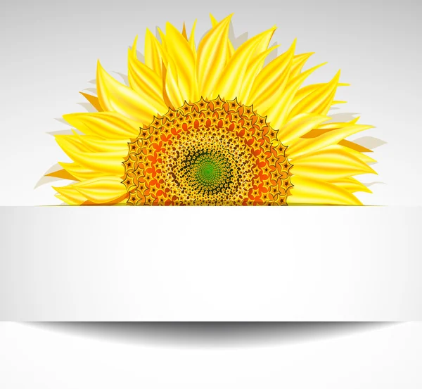 Abstract sunflower background — Stock Vector