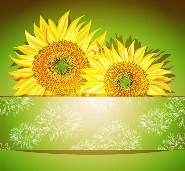 Abstrakte Sonnenblumen Hintergrund, Vektorillustration — Stockvektor