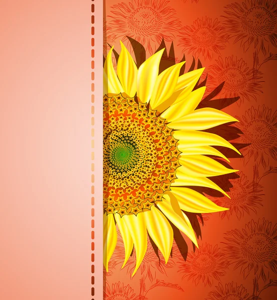 Sunflower on red background — Stock Vector