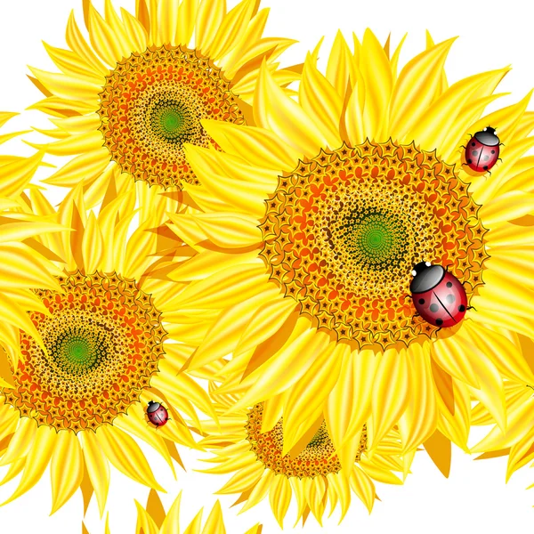 Modello senza cuciture con girasoli e coccinella — Vettoriale Stock