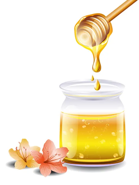 Honey with a wooden stick and flowers — Stock Vector