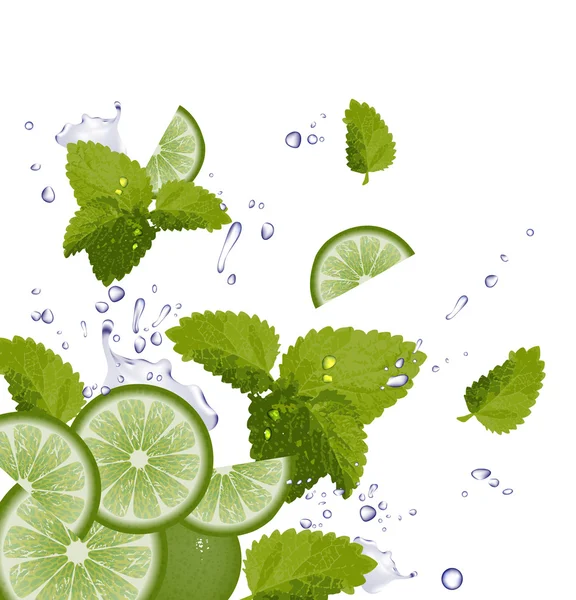 Lime, menta és a vizet — Stock Vector