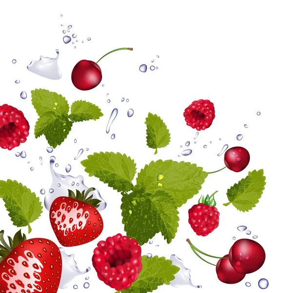 红色水果和溅水白色背景上的 — 图库矢量图片