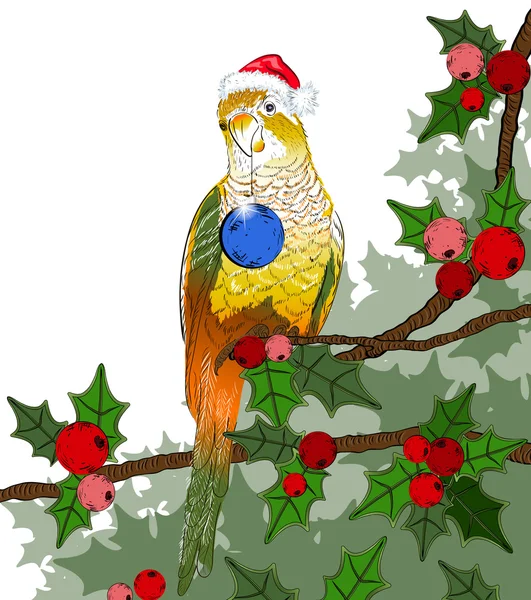 クリスマスの冬の鳥 （オウム) — ストックベクタ