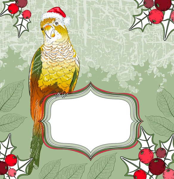 Χριστούγεννα φόντο με παπαγάλος — Διανυσματικό Αρχείο