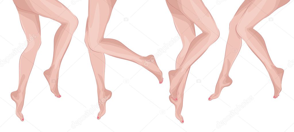 Vector beautiful woman legs