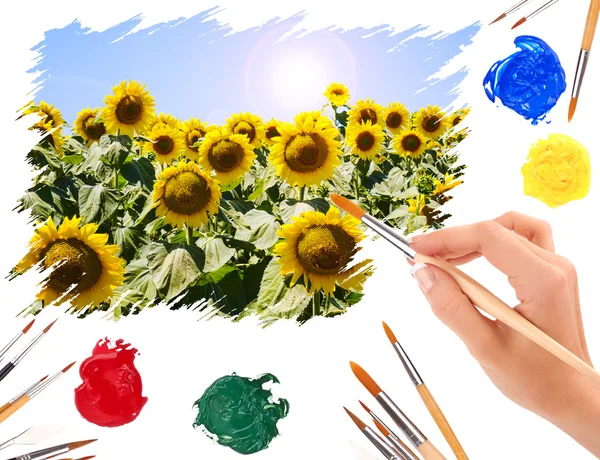 Ruční kartáč obraz letní krajina s slunečnice — Stock fotografie