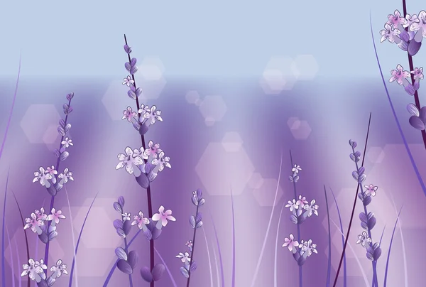 Lavender Flowers — Stock Vector