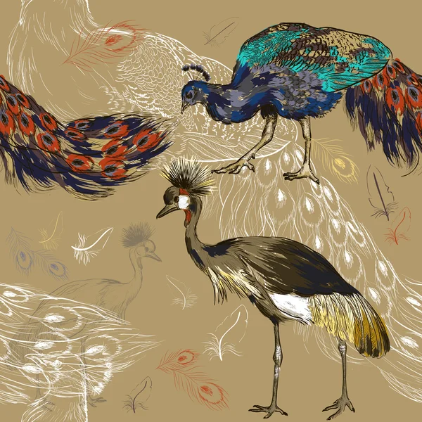 Seamless mönster med påfågel och krönt crane — Stock vektor