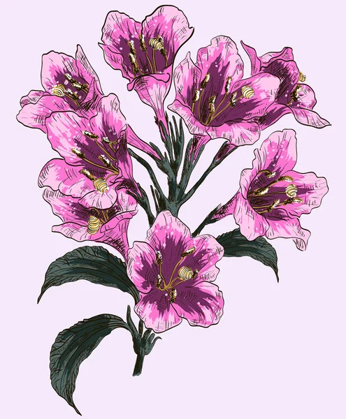 Rama de una flor de primavera rosa — Archivo Imágenes Vectoriales