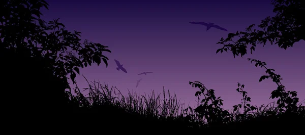 Zomer landschap met silhouet van gras, bloemen en vogels — Stockvector