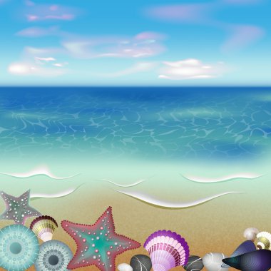 Deniz sakinleri üzerinde bir sahil kumu