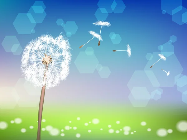 Dandelion with pollens on green grass — Stock Vector