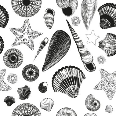 vektör kabukları (siyah ve beyaz ile seamless modeli)