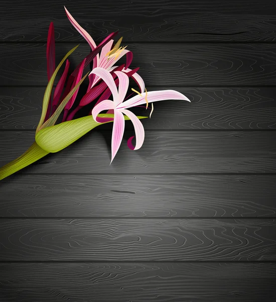 Flores tropicales sobre fondo de madera — Vector de stock