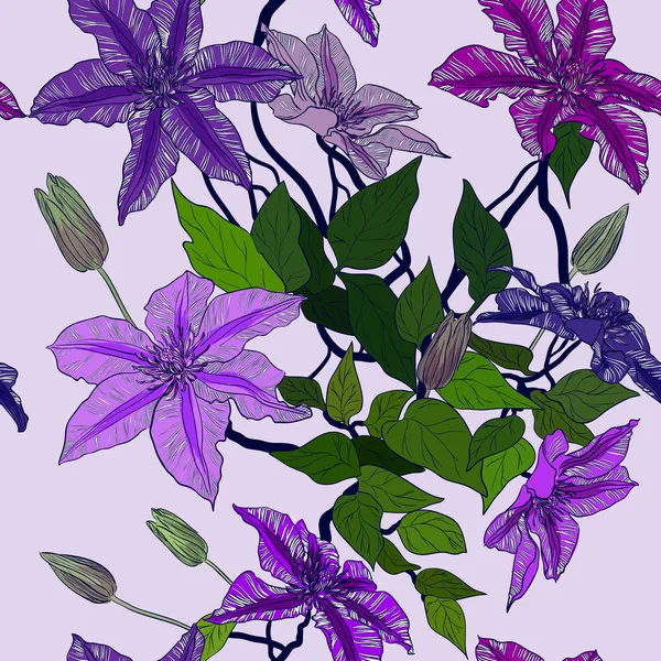 Vektor zökkenőmentes dísz klematisz virágokkal — Stock Vector