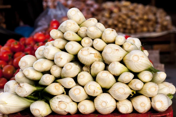 Fennel — Stock Photo, Image