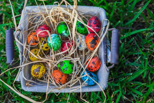 Easter eggs — Stock Photo, Image