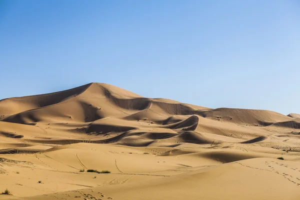 撒哈拉沙漠 图库图片