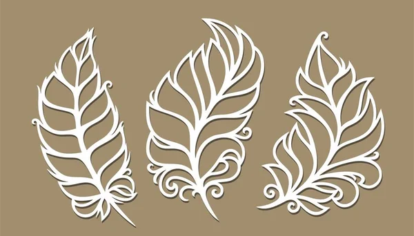 Set Skeletons Leaf Feather Line Drawn Decorative Element Theme Nature — Stock Vector