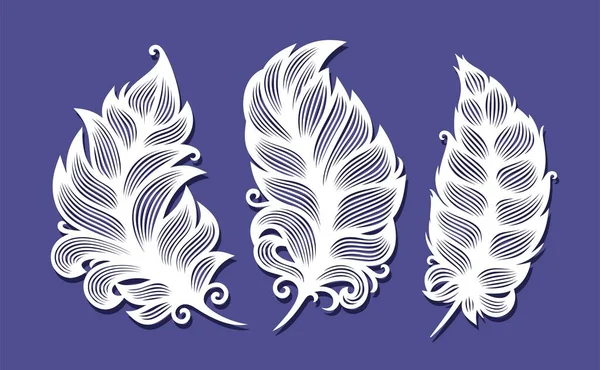 Set Three Feathers Light Fluffy White Feathers Quill Pen Blue — Stockvektor