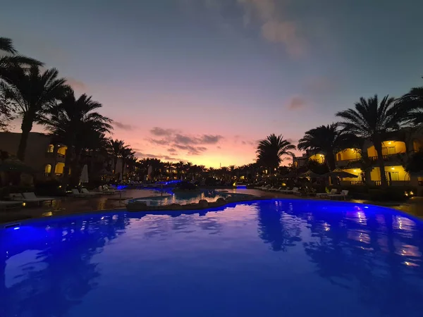 Pool Und Palmen Bei Sonnenuntergang Stockfoto
